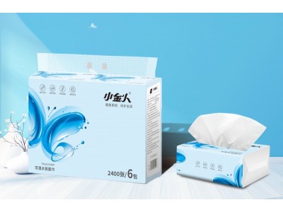 小金人 可湿水抽纸