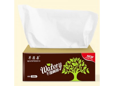 芊菲朵   干湿两用纸抽