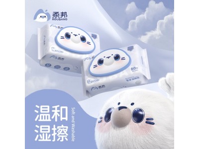 柔邦  湿厕纸