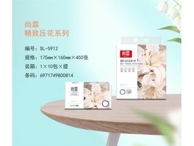 尚霖 精致4面压花面巾纸