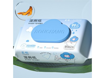 湿厕纸
