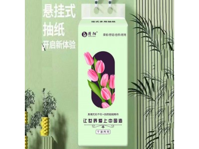龙乡清阳 悬挂式抽纸