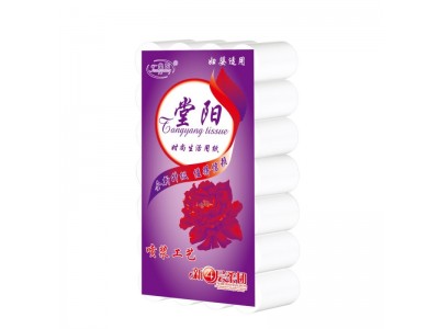 堂阳 卫生卷纸