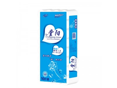 堂阳 卫生卷纸