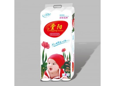 堂阳 卫生卷纸