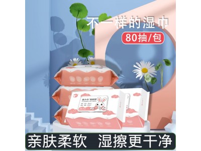 湿厕纸