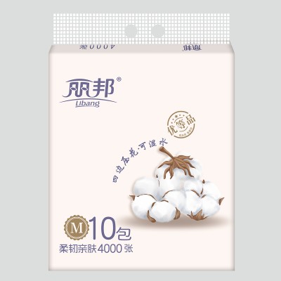 丽邦 挂式抽纸