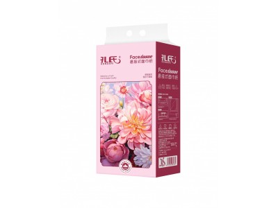 孔氏 悬挂式面巾纸