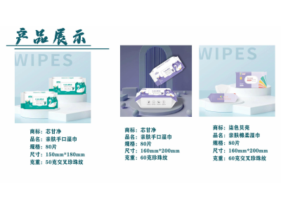 甘净 湿巾用品系列