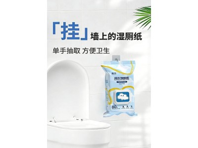 挂强上的湿厕纸