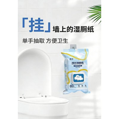 挂强上的湿厕纸