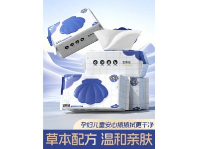 湿厕纸
