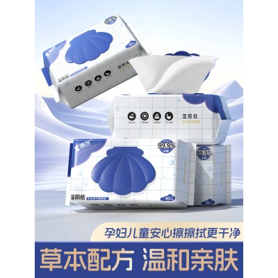 湿厕纸