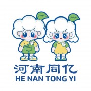 河南同亿科技实业发展有限公司