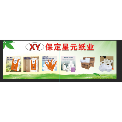 保定星元纸业